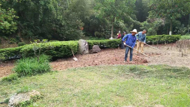 小型园林设计公司注册要求：关键要素与合规要点**