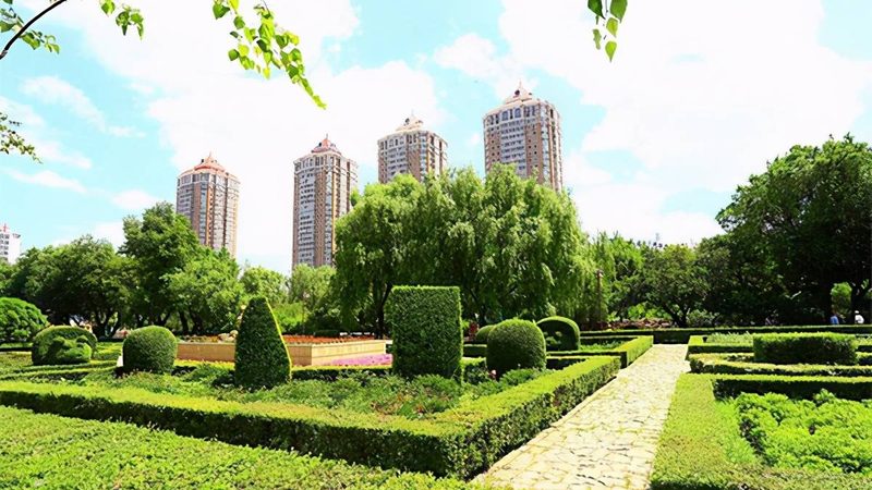 花卉租摆公司收费之谜：揭秘背后的定价逻辑