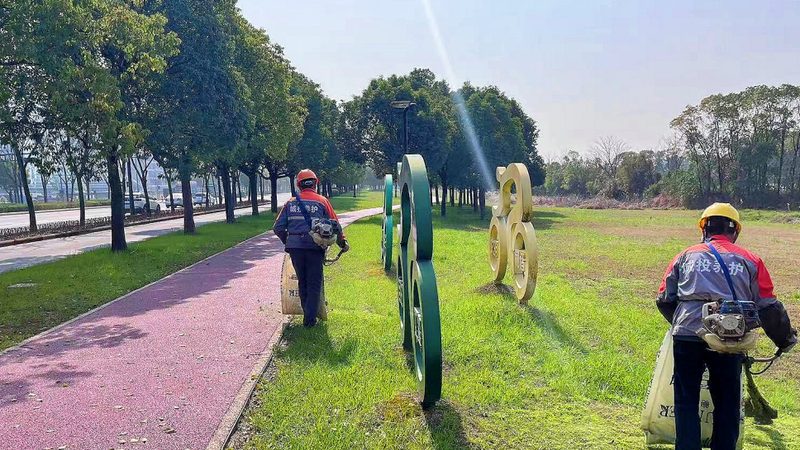 成都园林绿化工程验收规范：标准解读与执行要点