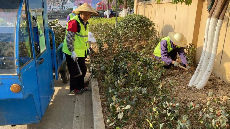 市政园林苗木采购清单范本：如何科学制定**