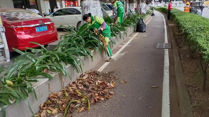 仿古青砖园林石材：探寻其独特魅力与潜在风险