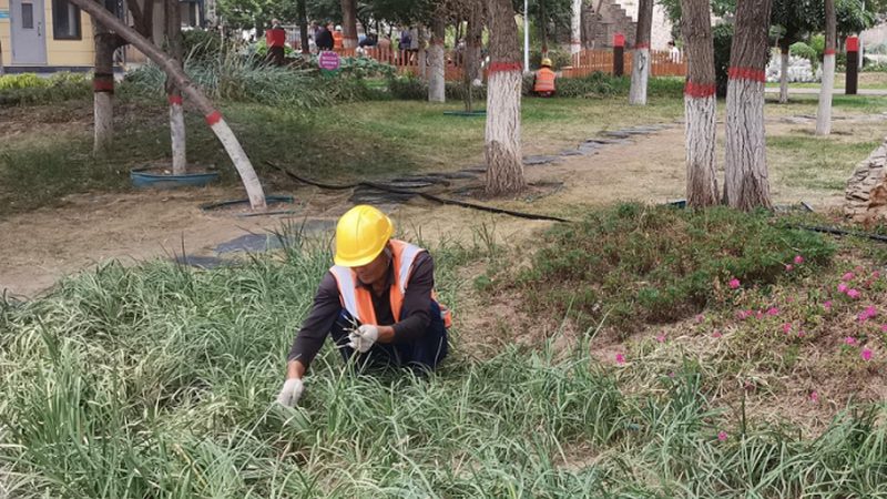 绿化资质续期，哪些材料不可或缺？**