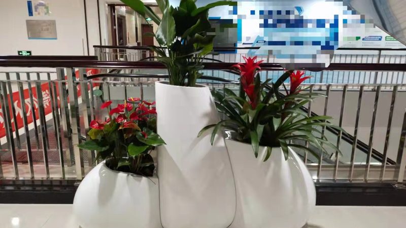 屋顶绿化蓄排水层安装方法：关键步骤与注意事项