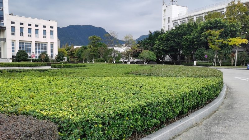 屋顶变绿洲：家庭屋顶绿化安装，你了解多少？**