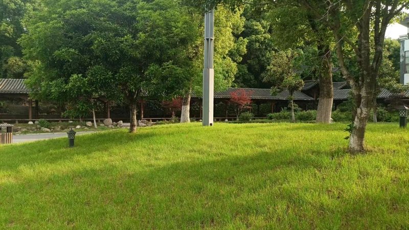 绿化养护服务标准与规范：保障园林品质的关键