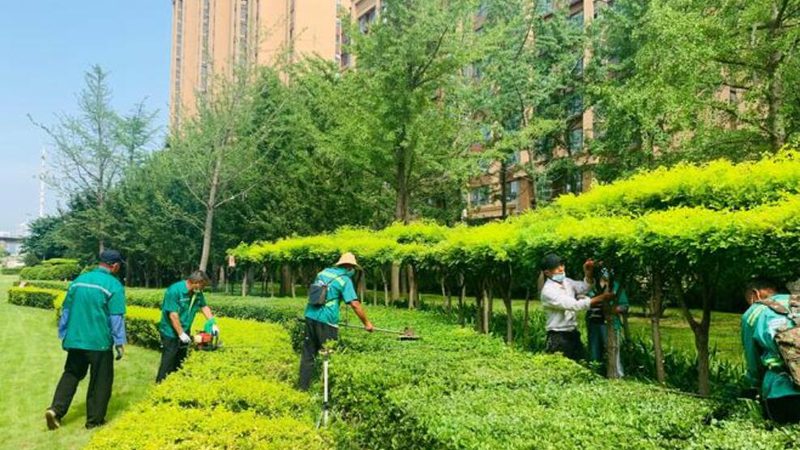 设计费用是衡量性价比的重要指标。在选择园林设计公司时，要关注以下两点：