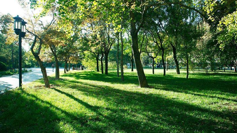 商业空间垂直绿化：打造绿色城市新景观